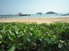tk-hut-resort-apr10-02